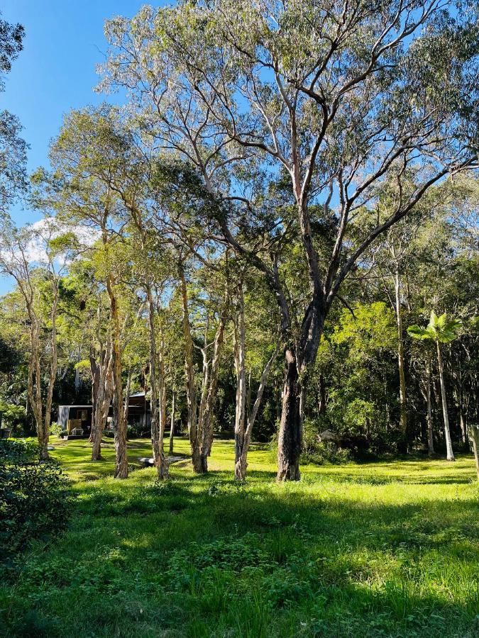 Coastal Bush Gateway Nr South West Rock Beach Arakoon Exterior photo